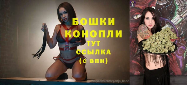 хмурый Богородск
