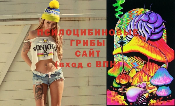 mdma Богородицк