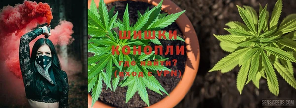 хмурый Богородск