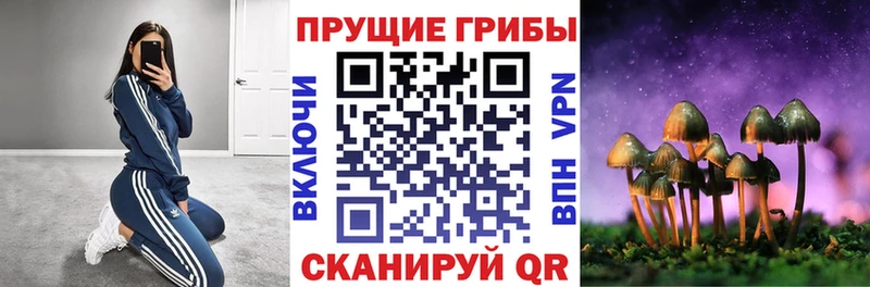 Галлюциногенные грибы мицелий  сколько стоит  Очёр 